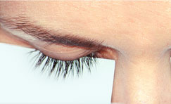thicker lashes
